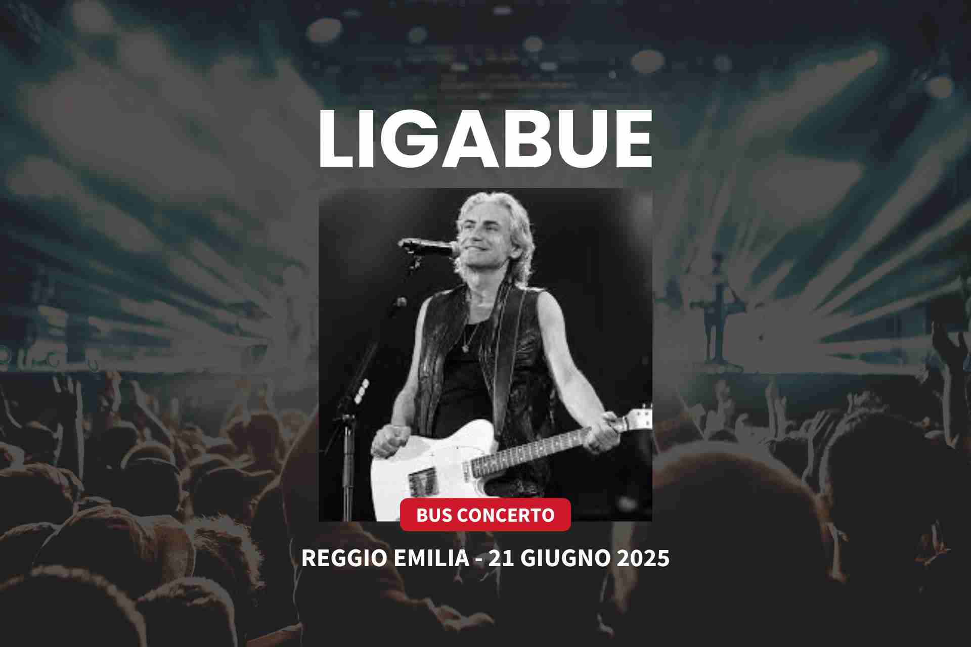 bus concerto ligabue